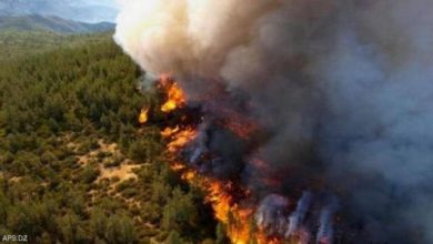صورة ارتفاع ضحايا حرائق الغابات بالجزائر إلى 65 شخصا وفق حصيلة جديدة